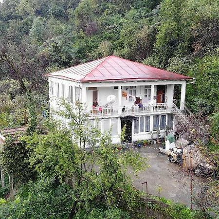 Guest House And Cellar Winery In Ortabatumi Batumi Georgia エクステリア 写真