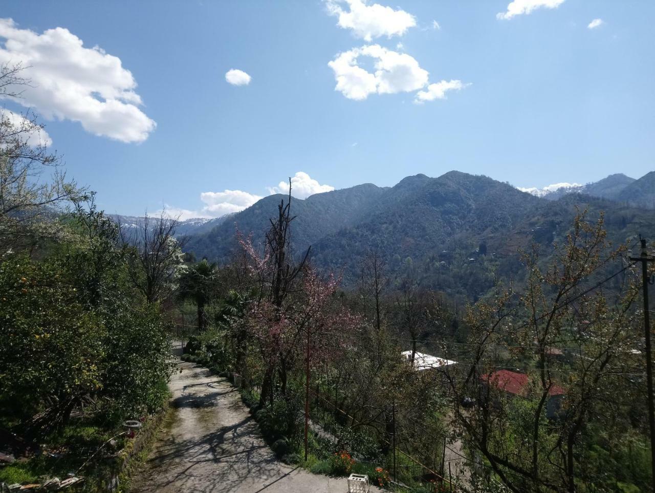 Guest House And Cellar Winery In Ortabatumi Batumi Georgia エクステリア 写真