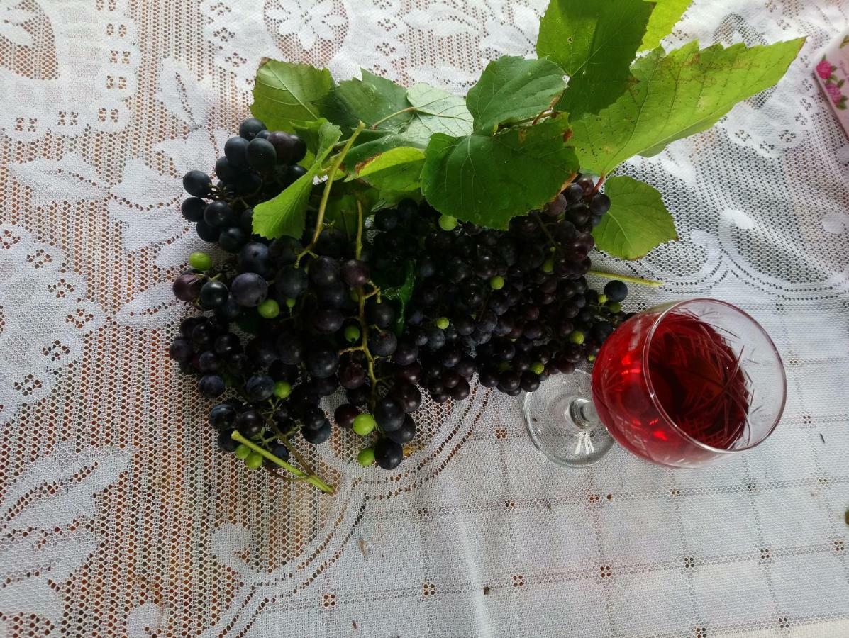 Guest House And Cellar Winery In Ortabatumi Batumi Georgia エクステリア 写真