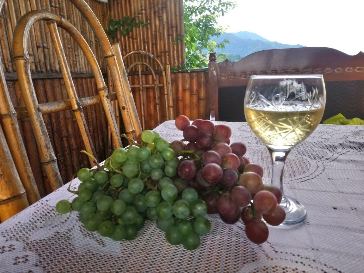 Guest House And Cellar Winery In Ortabatumi Batumi Georgia エクステリア 写真