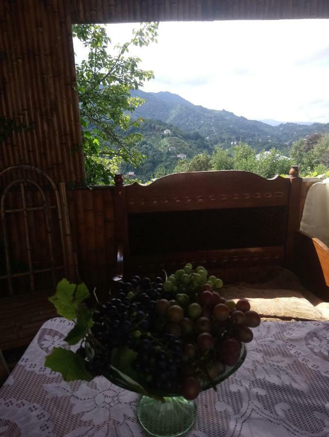 Guest House And Cellar Winery In Ortabatumi Batumi Georgia エクステリア 写真